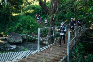 BIB: 
                            <button type="button" onclick="openModal(26650932)" class="btn btn-primary btn-sm float-right btn-popup" data-toggle="modal" data-target=".modal-high-quality">
                        <i class="fas fa-shopping-cart"></i> Add to Cart
                    </button>
                                            <button type="button" onclick="isThisMe(26650932, true)" class="btn btn-success btn-sm float-right btn-popup btn-isme hidden" data-toggle="tooltip" data-placement="bottom" title="นี่คือรูปของคุณใช่ไหม คลิกที่นี่เพื่อเอาเข้าอัลบั้ม">
                        <i class="fas fa-plus"></i> Add to album
                    </button>
                    <button type="button" onclick="isThisMe(26650932, false)" class="btn btn-warning btn-sm float-right btn-popup btn-isnotme hidden">
                        <i class="fas fa-ban"></i> Remove from album
                    </button>