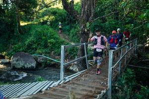 BIB: 
                            <button type="button" onclick="openModal(26651459)" class="btn btn-primary btn-sm float-right btn-popup" data-toggle="modal" data-target=".modal-high-quality">
                        <i class="fas fa-shopping-cart"></i> Add to Cart
                    </button>
                                            <button type="button" onclick="isThisMe(26651459, true)" class="btn btn-success btn-sm float-right btn-popup btn-isme hidden" data-toggle="tooltip" data-placement="bottom" title="นี่คือรูปของคุณใช่ไหม คลิกที่นี่เพื่อเอาเข้าอัลบั้ม">
                        <i class="fas fa-plus"></i> Add to album
                    </button>
                    <button type="button" onclick="isThisMe(26651459, false)" class="btn btn-warning btn-sm float-right btn-popup btn-isnotme hidden">
                        <i class="fas fa-ban"></i> Remove from album
                    </button>