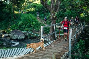 BIB: 
                            <button type="button" onclick="openModal(26634982)" class="btn btn-primary btn-sm float-right btn-popup" data-toggle="modal" data-target=".modal-high-quality">
                        <i class="fas fa-shopping-cart"></i> Add to Cart
                    </button>
                                            <button type="button" onclick="isThisMe(26634982, true)" class="btn btn-success btn-sm float-right btn-popup btn-isme hidden" data-toggle="tooltip" data-placement="bottom" title="นี่คือรูปของคุณใช่ไหม คลิกที่นี่เพื่อเอาเข้าอัลบั้ม">
                        <i class="fas fa-plus"></i> Add to album
                    </button>
                    <button type="button" onclick="isThisMe(26634982, false)" class="btn btn-warning btn-sm float-right btn-popup btn-isnotme hidden">
                        <i class="fas fa-ban"></i> Remove from album
                    </button>