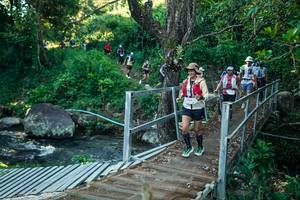 BIB: 
                            <button type="button" onclick="openModal(26640096)" class="btn btn-primary btn-sm float-right btn-popup" data-toggle="modal" data-target=".modal-high-quality">
                        <i class="fas fa-shopping-cart"></i> Add to Cart
                    </button>
                                            <button type="button" onclick="isThisMe(26640096, true)" class="btn btn-success btn-sm float-right btn-popup btn-isme hidden" data-toggle="tooltip" data-placement="bottom" title="นี่คือรูปของคุณใช่ไหม คลิกที่นี่เพื่อเอาเข้าอัลบั้ม">
                        <i class="fas fa-plus"></i> Add to album
                    </button>
                    <button type="button" onclick="isThisMe(26640096, false)" class="btn btn-warning btn-sm float-right btn-popup btn-isnotme hidden">
                        <i class="fas fa-ban"></i> Remove from album
                    </button>