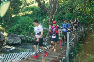 BIB: 
                            <button type="button" onclick="openModal(26677515)" class="btn btn-primary btn-sm float-right btn-popup" data-toggle="modal" data-target=".modal-high-quality">
                        <i class="fas fa-shopping-cart"></i> Add to Cart
                    </button>
                                            <button type="button" onclick="isThisMe(26677515, true)" class="btn btn-success btn-sm float-right btn-popup btn-isme hidden" data-toggle="tooltip" data-placement="bottom" title="นี่คือรูปของคุณใช่ไหม คลิกที่นี่เพื่อเอาเข้าอัลบั้ม">
                        <i class="fas fa-plus"></i> Add to album
                    </button>
                    <button type="button" onclick="isThisMe(26677515, false)" class="btn btn-warning btn-sm float-right btn-popup btn-isnotme hidden">
                        <i class="fas fa-ban"></i> Remove from album
                    </button>