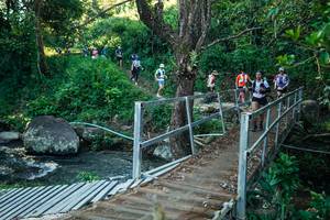 BIB: 
                            <button type="button" onclick="openModal(26639755)" class="btn btn-primary btn-sm float-right btn-popup" data-toggle="modal" data-target=".modal-high-quality">
                        <i class="fas fa-shopping-cart"></i> Add to Cart
                    </button>
                                            <button type="button" onclick="isThisMe(26639755, true)" class="btn btn-success btn-sm float-right btn-popup btn-isme hidden" data-toggle="tooltip" data-placement="bottom" title="นี่คือรูปของคุณใช่ไหม คลิกที่นี่เพื่อเอาเข้าอัลบั้ม">
                        <i class="fas fa-plus"></i> Add to album
                    </button>
                    <button type="button" onclick="isThisMe(26639755, false)" class="btn btn-warning btn-sm float-right btn-popup btn-isnotme hidden">
                        <i class="fas fa-ban"></i> Remove from album
                    </button>