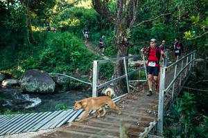 BIB: 
                            <button type="button" onclick="openModal(26635003)" class="btn btn-primary btn-sm float-right btn-popup" data-toggle="modal" data-target=".modal-high-quality">
                        <i class="fas fa-shopping-cart"></i> Add to Cart
                    </button>
                                            <button type="button" onclick="isThisMe(26635003, true)" class="btn btn-success btn-sm float-right btn-popup btn-isme hidden" data-toggle="tooltip" data-placement="bottom" title="นี่คือรูปของคุณใช่ไหม คลิกที่นี่เพื่อเอาเข้าอัลบั้ม">
                        <i class="fas fa-plus"></i> Add to album
                    </button>
                    <button type="button" onclick="isThisMe(26635003, false)" class="btn btn-warning btn-sm float-right btn-popup btn-isnotme hidden">
                        <i class="fas fa-ban"></i> Remove from album
                    </button>