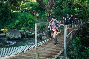 BIB: 
                            <button type="button" onclick="openModal(26628284)" class="btn btn-primary btn-sm float-right btn-popup" data-toggle="modal" data-target=".modal-high-quality">
                        <i class="fas fa-shopping-cart"></i> Add to Cart
                    </button>
                                            <button type="button" onclick="isThisMe(26628284, true)" class="btn btn-success btn-sm float-right btn-popup btn-isme hidden" data-toggle="tooltip" data-placement="bottom" title="นี่คือรูปของคุณใช่ไหม คลิกที่นี่เพื่อเอาเข้าอัลบั้ม">
                        <i class="fas fa-plus"></i> Add to album
                    </button>
                    <button type="button" onclick="isThisMe(26628284, false)" class="btn btn-warning btn-sm float-right btn-popup btn-isnotme hidden">
                        <i class="fas fa-ban"></i> Remove from album
                    </button>