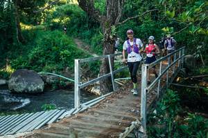 BIB: 
                            <button type="button" onclick="openModal(26624375)" class="btn btn-primary btn-sm float-right btn-popup" data-toggle="modal" data-target=".modal-high-quality">
                        <i class="fas fa-shopping-cart"></i> Add to Cart
                    </button>
                                            <button type="button" onclick="isThisMe(26624375, true)" class="btn btn-success btn-sm float-right btn-popup btn-isme hidden" data-toggle="tooltip" data-placement="bottom" title="นี่คือรูปของคุณใช่ไหม คลิกที่นี่เพื่อเอาเข้าอัลบั้ม">
                        <i class="fas fa-plus"></i> Add to album
                    </button>
                    <button type="button" onclick="isThisMe(26624375, false)" class="btn btn-warning btn-sm float-right btn-popup btn-isnotme hidden">
                        <i class="fas fa-ban"></i> Remove from album
                    </button>