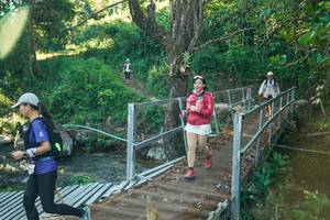 BIB: 
                            <button type="button" onclick="openModal(26677360)" class="btn btn-primary btn-sm float-right btn-popup" data-toggle="modal" data-target=".modal-high-quality">
                        <i class="fas fa-shopping-cart"></i> Add to Cart
                    </button>
                                            <button type="button" onclick="isThisMe(26677360, true)" class="btn btn-success btn-sm float-right btn-popup btn-isme hidden" data-toggle="tooltip" data-placement="bottom" title="นี่คือรูปของคุณใช่ไหม คลิกที่นี่เพื่อเอาเข้าอัลบั้ม">
                        <i class="fas fa-plus"></i> Add to album
                    </button>
                    <button type="button" onclick="isThisMe(26677360, false)" class="btn btn-warning btn-sm float-right btn-popup btn-isnotme hidden">
                        <i class="fas fa-ban"></i> Remove from album
                    </button>