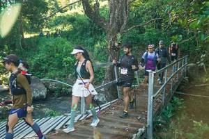 BIB: 
                            <button type="button" onclick="openModal(26677566)" class="btn btn-primary btn-sm float-right btn-popup" data-toggle="modal" data-target=".modal-high-quality">
                        <i class="fas fa-shopping-cart"></i> Add to Cart
                    </button>
                                            <button type="button" onclick="isThisMe(26677566, true)" class="btn btn-success btn-sm float-right btn-popup btn-isme hidden" data-toggle="tooltip" data-placement="bottom" title="นี่คือรูปของคุณใช่ไหม คลิกที่นี่เพื่อเอาเข้าอัลบั้ม">
                        <i class="fas fa-plus"></i> Add to album
                    </button>
                    <button type="button" onclick="isThisMe(26677566, false)" class="btn btn-warning btn-sm float-right btn-popup btn-isnotme hidden">
                        <i class="fas fa-ban"></i> Remove from album
                    </button>