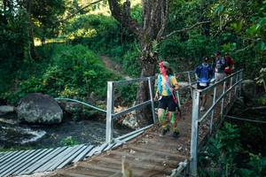 BIB: 
                            <button type="button" onclick="openModal(26658304)" class="btn btn-primary btn-sm float-right btn-popup" data-toggle="modal" data-target=".modal-high-quality">
                        <i class="fas fa-shopping-cart"></i> Add to Cart
                    </button>
                                            <button type="button" onclick="isThisMe(26658304, true)" class="btn btn-success btn-sm float-right btn-popup btn-isme hidden" data-toggle="tooltip" data-placement="bottom" title="นี่คือรูปของคุณใช่ไหม คลิกที่นี่เพื่อเอาเข้าอัลบั้ม">
                        <i class="fas fa-plus"></i> Add to album
                    </button>
                    <button type="button" onclick="isThisMe(26658304, false)" class="btn btn-warning btn-sm float-right btn-popup btn-isnotme hidden">
                        <i class="fas fa-ban"></i> Remove from album
                    </button>