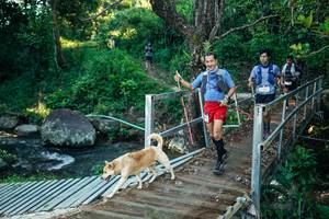 BIB: 
                            <button type="button" onclick="openModal(26625558)" class="btn btn-primary btn-sm float-right btn-popup" data-toggle="modal" data-target=".modal-high-quality">
                        <i class="fas fa-shopping-cart"></i> Add to Cart
                    </button>
                                            <button type="button" onclick="isThisMe(26625558, true)" class="btn btn-success btn-sm float-right btn-popup btn-isme hidden" data-toggle="tooltip" data-placement="bottom" title="นี่คือรูปของคุณใช่ไหม คลิกที่นี่เพื่อเอาเข้าอัลบั้ม">
                        <i class="fas fa-plus"></i> Add to album
                    </button>
                    <button type="button" onclick="isThisMe(26625558, false)" class="btn btn-warning btn-sm float-right btn-popup btn-isnotme hidden">
                        <i class="fas fa-ban"></i> Remove from album
                    </button>