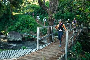 BIB: 
                            <button type="button" onclick="openModal(26644249)" class="btn btn-primary btn-sm float-right btn-popup" data-toggle="modal" data-target=".modal-high-quality">
                        <i class="fas fa-shopping-cart"></i> Add to Cart
                    </button>
                                            <button type="button" onclick="isThisMe(26644249, true)" class="btn btn-success btn-sm float-right btn-popup btn-isme hidden" data-toggle="tooltip" data-placement="bottom" title="นี่คือรูปของคุณใช่ไหม คลิกที่นี่เพื่อเอาเข้าอัลบั้ม">
                        <i class="fas fa-plus"></i> Add to album
                    </button>
                    <button type="button" onclick="isThisMe(26644249, false)" class="btn btn-warning btn-sm float-right btn-popup btn-isnotme hidden">
                        <i class="fas fa-ban"></i> Remove from album
                    </button>