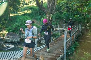 BIB: 
                            <button type="button" onclick="openModal(26676504)" class="btn btn-primary btn-sm float-right btn-popup" data-toggle="modal" data-target=".modal-high-quality">
                        <i class="fas fa-shopping-cart"></i> Add to Cart
                    </button>
                                            <button type="button" onclick="isThisMe(26676504, true)" class="btn btn-success btn-sm float-right btn-popup btn-isme hidden" data-toggle="tooltip" data-placement="bottom" title="นี่คือรูปของคุณใช่ไหม คลิกที่นี่เพื่อเอาเข้าอัลบั้ม">
                        <i class="fas fa-plus"></i> Add to album
                    </button>
                    <button type="button" onclick="isThisMe(26676504, false)" class="btn btn-warning btn-sm float-right btn-popup btn-isnotme hidden">
                        <i class="fas fa-ban"></i> Remove from album
                    </button>