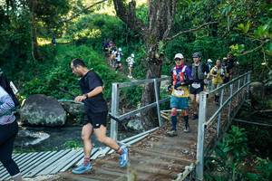 BIB: 
                            <button type="button" onclick="openModal(26642651)" class="btn btn-primary btn-sm float-right btn-popup" data-toggle="modal" data-target=".modal-high-quality">
                        <i class="fas fa-shopping-cart"></i> Add to Cart
                    </button>
                                            <button type="button" onclick="isThisMe(26642651, true)" class="btn btn-success btn-sm float-right btn-popup btn-isme hidden" data-toggle="tooltip" data-placement="bottom" title="นี่คือรูปของคุณใช่ไหม คลิกที่นี่เพื่อเอาเข้าอัลบั้ม">
                        <i class="fas fa-plus"></i> Add to album
                    </button>
                    <button type="button" onclick="isThisMe(26642651, false)" class="btn btn-warning btn-sm float-right btn-popup btn-isnotme hidden">
                        <i class="fas fa-ban"></i> Remove from album
                    </button>