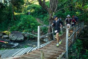 BIB: 
                            <button type="button" onclick="openModal(26629242)" class="btn btn-primary btn-sm float-right btn-popup" data-toggle="modal" data-target=".modal-high-quality">
                        <i class="fas fa-shopping-cart"></i> Add to Cart
                    </button>
                                            <button type="button" onclick="isThisMe(26629242, true)" class="btn btn-success btn-sm float-right btn-popup btn-isme hidden" data-toggle="tooltip" data-placement="bottom" title="นี่คือรูปของคุณใช่ไหม คลิกที่นี่เพื่อเอาเข้าอัลบั้ม">
                        <i class="fas fa-plus"></i> Add to album
                    </button>
                    <button type="button" onclick="isThisMe(26629242, false)" class="btn btn-warning btn-sm float-right btn-popup btn-isnotme hidden">
                        <i class="fas fa-ban"></i> Remove from album
                    </button>