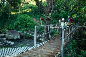 BIB: 
                            <button type="button" onclick="openModal(26637480)" class="btn btn-primary btn-sm float-right btn-popup" data-toggle="modal" data-target=".modal-high-quality">
                        <i class="fas fa-shopping-cart"></i> Add to Cart
                    </button>
                                            <button type="button" onclick="isThisMe(26637480, true)" class="btn btn-success btn-sm float-right btn-popup btn-isme hidden" data-toggle="tooltip" data-placement="bottom" title="นี่คือรูปของคุณใช่ไหม คลิกที่นี่เพื่อเอาเข้าอัลบั้ม">
                        <i class="fas fa-plus"></i> Add to album
                    </button>
                    <button type="button" onclick="isThisMe(26637480, false)" class="btn btn-warning btn-sm float-right btn-popup btn-isnotme hidden">
                        <i class="fas fa-ban"></i> Remove from album
                    </button>