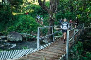 BIB: 
                            <button type="button" onclick="openModal(26638321)" class="btn btn-primary btn-sm float-right btn-popup" data-toggle="modal" data-target=".modal-high-quality">
                        <i class="fas fa-shopping-cart"></i> Add to Cart
                    </button>
                                            <button type="button" onclick="isThisMe(26638321, true)" class="btn btn-success btn-sm float-right btn-popup btn-isme hidden" data-toggle="tooltip" data-placement="bottom" title="นี่คือรูปของคุณใช่ไหม คลิกที่นี่เพื่อเอาเข้าอัลบั้ม">
                        <i class="fas fa-plus"></i> Add to album
                    </button>
                    <button type="button" onclick="isThisMe(26638321, false)" class="btn btn-warning btn-sm float-right btn-popup btn-isnotme hidden">
                        <i class="fas fa-ban"></i> Remove from album
                    </button>