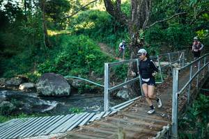 BIB: 
                            <button type="button" onclick="openModal(26636878)" class="btn btn-primary btn-sm float-right btn-popup" data-toggle="modal" data-target=".modal-high-quality">
                        <i class="fas fa-shopping-cart"></i> Add to Cart
                    </button>
                                            <button type="button" onclick="isThisMe(26636878, true)" class="btn btn-success btn-sm float-right btn-popup btn-isme hidden" data-toggle="tooltip" data-placement="bottom" title="นี่คือรูปของคุณใช่ไหม คลิกที่นี่เพื่อเอาเข้าอัลบั้ม">
                        <i class="fas fa-plus"></i> Add to album
                    </button>
                    <button type="button" onclick="isThisMe(26636878, false)" class="btn btn-warning btn-sm float-right btn-popup btn-isnotme hidden">
                        <i class="fas fa-ban"></i> Remove from album
                    </button>