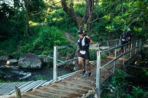 BIB: 
                            <button type="button" onclick="openModal(26621855)" class="btn btn-primary btn-sm float-right btn-popup" data-toggle="modal" data-target=".modal-high-quality">
                        <i class="fas fa-shopping-cart"></i> Add to Cart
                    </button>
                                            <button type="button" onclick="isThisMe(26621855, true)" class="btn btn-success btn-sm float-right btn-popup btn-isme hidden" data-toggle="tooltip" data-placement="bottom" title="นี่คือรูปของคุณใช่ไหม คลิกที่นี่เพื่อเอาเข้าอัลบั้ม">
                        <i class="fas fa-plus"></i> Add to album
                    </button>
                    <button type="button" onclick="isThisMe(26621855, false)" class="btn btn-warning btn-sm float-right btn-popup btn-isnotme hidden">
                        <i class="fas fa-ban"></i> Remove from album
                    </button>