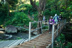 BIB: 
                            <button type="button" onclick="openModal(26649118)" class="btn btn-primary btn-sm float-right btn-popup" data-toggle="modal" data-target=".modal-high-quality">
                        <i class="fas fa-shopping-cart"></i> Add to Cart
                    </button>
                                            <button type="button" onclick="isThisMe(26649118, true)" class="btn btn-success btn-sm float-right btn-popup btn-isme hidden" data-toggle="tooltip" data-placement="bottom" title="นี่คือรูปของคุณใช่ไหม คลิกที่นี่เพื่อเอาเข้าอัลบั้ม">
                        <i class="fas fa-plus"></i> Add to album
                    </button>
                    <button type="button" onclick="isThisMe(26649118, false)" class="btn btn-warning btn-sm float-right btn-popup btn-isnotme hidden">
                        <i class="fas fa-ban"></i> Remove from album
                    </button>