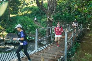 BIB: 
                            <button type="button" onclick="openModal(26677356)" class="btn btn-primary btn-sm float-right btn-popup" data-toggle="modal" data-target=".modal-high-quality">
                        <i class="fas fa-shopping-cart"></i> Add to Cart
                    </button>
                                            <button type="button" onclick="isThisMe(26677356, true)" class="btn btn-success btn-sm float-right btn-popup btn-isme hidden" data-toggle="tooltip" data-placement="bottom" title="นี่คือรูปของคุณใช่ไหม คลิกที่นี่เพื่อเอาเข้าอัลบั้ม">
                        <i class="fas fa-plus"></i> Add to album
                    </button>
                    <button type="button" onclick="isThisMe(26677356, false)" class="btn btn-warning btn-sm float-right btn-popup btn-isnotme hidden">
                        <i class="fas fa-ban"></i> Remove from album
                    </button>