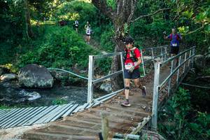 BIB: 
                            <button type="button" onclick="openModal(26632499)" class="btn btn-primary btn-sm float-right btn-popup" data-toggle="modal" data-target=".modal-high-quality">
                        <i class="fas fa-shopping-cart"></i> Add to Cart
                    </button>
                                            <button type="button" onclick="isThisMe(26632499, true)" class="btn btn-success btn-sm float-right btn-popup btn-isme hidden" data-toggle="tooltip" data-placement="bottom" title="นี่คือรูปของคุณใช่ไหม คลิกที่นี่เพื่อเอาเข้าอัลบั้ม">
                        <i class="fas fa-plus"></i> Add to album
                    </button>
                    <button type="button" onclick="isThisMe(26632499, false)" class="btn btn-warning btn-sm float-right btn-popup btn-isnotme hidden">
                        <i class="fas fa-ban"></i> Remove from album
                    </button>