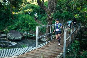 BIB: 
                            <button type="button" onclick="openModal(26639015)" class="btn btn-primary btn-sm float-right btn-popup" data-toggle="modal" data-target=".modal-high-quality">
                        <i class="fas fa-shopping-cart"></i> Add to Cart
                    </button>
                                            <button type="button" onclick="isThisMe(26639015, true)" class="btn btn-success btn-sm float-right btn-popup btn-isme hidden" data-toggle="tooltip" data-placement="bottom" title="นี่คือรูปของคุณใช่ไหม คลิกที่นี่เพื่อเอาเข้าอัลบั้ม">
                        <i class="fas fa-plus"></i> Add to album
                    </button>
                    <button type="button" onclick="isThisMe(26639015, false)" class="btn btn-warning btn-sm float-right btn-popup btn-isnotme hidden">
                        <i class="fas fa-ban"></i> Remove from album
                    </button>