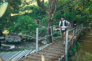 BIB: 
                            <button type="button" onclick="openModal(26674045)" class="btn btn-primary btn-sm float-right btn-popup" data-toggle="modal" data-target=".modal-high-quality">
                        <i class="fas fa-shopping-cart"></i> Add to Cart
                    </button>
                                            <button type="button" onclick="isThisMe(26674045, true)" class="btn btn-success btn-sm float-right btn-popup btn-isme hidden" data-toggle="tooltip" data-placement="bottom" title="นี่คือรูปของคุณใช่ไหม คลิกที่นี่เพื่อเอาเข้าอัลบั้ม">
                        <i class="fas fa-plus"></i> Add to album
                    </button>
                    <button type="button" onclick="isThisMe(26674045, false)" class="btn btn-warning btn-sm float-right btn-popup btn-isnotme hidden">
                        <i class="fas fa-ban"></i> Remove from album
                    </button>