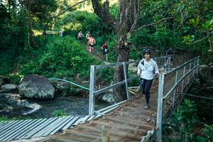 BIB: 
                            <button type="button" onclick="openModal(26639655)" class="btn btn-primary btn-sm float-right btn-popup" data-toggle="modal" data-target=".modal-high-quality">
                        <i class="fas fa-shopping-cart"></i> Add to Cart
                    </button>
                                            <button type="button" onclick="isThisMe(26639655, true)" class="btn btn-success btn-sm float-right btn-popup btn-isme hidden" data-toggle="tooltip" data-placement="bottom" title="นี่คือรูปของคุณใช่ไหม คลิกที่นี่เพื่อเอาเข้าอัลบั้ม">
                        <i class="fas fa-plus"></i> Add to album
                    </button>
                    <button type="button" onclick="isThisMe(26639655, false)" class="btn btn-warning btn-sm float-right btn-popup btn-isnotme hidden">
                        <i class="fas fa-ban"></i> Remove from album
                    </button>