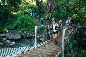 BIB: 
                            <button type="button" onclick="openModal(26639808)" class="btn btn-primary btn-sm float-right btn-popup" data-toggle="modal" data-target=".modal-high-quality">
                        <i class="fas fa-shopping-cart"></i> Add to Cart
                    </button>
                                            <button type="button" onclick="isThisMe(26639808, true)" class="btn btn-success btn-sm float-right btn-popup btn-isme hidden" data-toggle="tooltip" data-placement="bottom" title="นี่คือรูปของคุณใช่ไหม คลิกที่นี่เพื่อเอาเข้าอัลบั้ม">
                        <i class="fas fa-plus"></i> Add to album
                    </button>
                    <button type="button" onclick="isThisMe(26639808, false)" class="btn btn-warning btn-sm float-right btn-popup btn-isnotme hidden">
                        <i class="fas fa-ban"></i> Remove from album
                    </button>