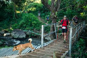 BIB: 
                            <button type="button" onclick="openModal(26635081)" class="btn btn-primary btn-sm float-right btn-popup" data-toggle="modal" data-target=".modal-high-quality">
                        <i class="fas fa-shopping-cart"></i> Add to Cart
                    </button>
                                            <button type="button" onclick="isThisMe(26635081, true)" class="btn btn-success btn-sm float-right btn-popup btn-isme hidden" data-toggle="tooltip" data-placement="bottom" title="นี่คือรูปของคุณใช่ไหม คลิกที่นี่เพื่อเอาเข้าอัลบั้ม">
                        <i class="fas fa-plus"></i> Add to album
                    </button>
                    <button type="button" onclick="isThisMe(26635081, false)" class="btn btn-warning btn-sm float-right btn-popup btn-isnotme hidden">
                        <i class="fas fa-ban"></i> Remove from album
                    </button>