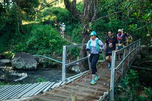 BIB: 
                            <button type="button" onclick="openModal(26642599)" class="btn btn-primary btn-sm float-right btn-popup" data-toggle="modal" data-target=".modal-high-quality">
                        <i class="fas fa-shopping-cart"></i> Add to Cart
                    </button>
                                            <button type="button" onclick="isThisMe(26642599, true)" class="btn btn-success btn-sm float-right btn-popup btn-isme hidden" data-toggle="tooltip" data-placement="bottom" title="นี่คือรูปของคุณใช่ไหม คลิกที่นี่เพื่อเอาเข้าอัลบั้ม">
                        <i class="fas fa-plus"></i> Add to album
                    </button>
                    <button type="button" onclick="isThisMe(26642599, false)" class="btn btn-warning btn-sm float-right btn-popup btn-isnotme hidden">
                        <i class="fas fa-ban"></i> Remove from album
                    </button>