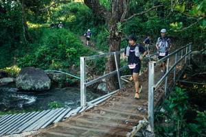 BIB: 
                            <button type="button" onclick="openModal(26626003)" class="btn btn-primary btn-sm float-right btn-popup" data-toggle="modal" data-target=".modal-high-quality">
                        <i class="fas fa-shopping-cart"></i> Add to Cart
                    </button>
                                            <button type="button" onclick="isThisMe(26626003, true)" class="btn btn-success btn-sm float-right btn-popup btn-isme hidden" data-toggle="tooltip" data-placement="bottom" title="นี่คือรูปของคุณใช่ไหม คลิกที่นี่เพื่อเอาเข้าอัลบั้ม">
                        <i class="fas fa-plus"></i> Add to album
                    </button>
                    <button type="button" onclick="isThisMe(26626003, false)" class="btn btn-warning btn-sm float-right btn-popup btn-isnotme hidden">
                        <i class="fas fa-ban"></i> Remove from album
                    </button>