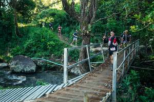 BIB: 
                            <button type="button" onclick="openModal(26635133)" class="btn btn-primary btn-sm float-right btn-popup" data-toggle="modal" data-target=".modal-high-quality">
                        <i class="fas fa-shopping-cart"></i> Add to Cart
                    </button>
                                            <button type="button" onclick="isThisMe(26635133, true)" class="btn btn-success btn-sm float-right btn-popup btn-isme hidden" data-toggle="tooltip" data-placement="bottom" title="นี่คือรูปของคุณใช่ไหม คลิกที่นี่เพื่อเอาเข้าอัลบั้ม">
                        <i class="fas fa-plus"></i> Add to album
                    </button>
                    <button type="button" onclick="isThisMe(26635133, false)" class="btn btn-warning btn-sm float-right btn-popup btn-isnotme hidden">
                        <i class="fas fa-ban"></i> Remove from album
                    </button>