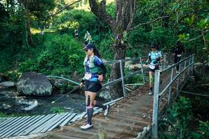 BIB: 
                            <button type="button" onclick="openModal(26639056)" class="btn btn-primary btn-sm float-right btn-popup" data-toggle="modal" data-target=".modal-high-quality">
                        <i class="fas fa-shopping-cart"></i> Add to Cart
                    </button>
                                            <button type="button" onclick="isThisMe(26639056, true)" class="btn btn-success btn-sm float-right btn-popup btn-isme hidden" data-toggle="tooltip" data-placement="bottom" title="นี่คือรูปของคุณใช่ไหม คลิกที่นี่เพื่อเอาเข้าอัลบั้ม">
                        <i class="fas fa-plus"></i> Add to album
                    </button>
                    <button type="button" onclick="isThisMe(26639056, false)" class="btn btn-warning btn-sm float-right btn-popup btn-isnotme hidden">
                        <i class="fas fa-ban"></i> Remove from album
                    </button>