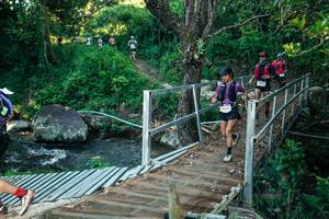 BIB: 
                            <button type="button" onclick="openModal(26634089)" class="btn btn-primary btn-sm float-right btn-popup" data-toggle="modal" data-target=".modal-high-quality">
                        <i class="fas fa-shopping-cart"></i> Add to Cart
                    </button>
                                            <button type="button" onclick="isThisMe(26634089, true)" class="btn btn-success btn-sm float-right btn-popup btn-isme hidden" data-toggle="tooltip" data-placement="bottom" title="นี่คือรูปของคุณใช่ไหม คลิกที่นี่เพื่อเอาเข้าอัลบั้ม">
                        <i class="fas fa-plus"></i> Add to album
                    </button>
                    <button type="button" onclick="isThisMe(26634089, false)" class="btn btn-warning btn-sm float-right btn-popup btn-isnotme hidden">
                        <i class="fas fa-ban"></i> Remove from album
                    </button>