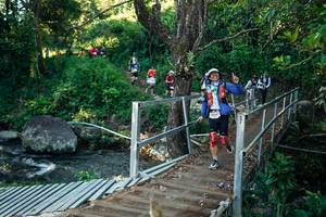 BIB: 
                            <button type="button" onclick="openModal(26659624)" class="btn btn-primary btn-sm float-right btn-popup" data-toggle="modal" data-target=".modal-high-quality">
                        <i class="fas fa-shopping-cart"></i> Add to Cart
                    </button>
                                            <button type="button" onclick="isThisMe(26659624, true)" class="btn btn-success btn-sm float-right btn-popup btn-isme hidden" data-toggle="tooltip" data-placement="bottom" title="นี่คือรูปของคุณใช่ไหม คลิกที่นี่เพื่อเอาเข้าอัลบั้ม">
                        <i class="fas fa-plus"></i> Add to album
                    </button>
                    <button type="button" onclick="isThisMe(26659624, false)" class="btn btn-warning btn-sm float-right btn-popup btn-isnotme hidden">
                        <i class="fas fa-ban"></i> Remove from album
                    </button>