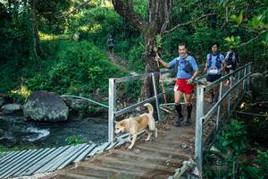 BIB: 
                            <button type="button" onclick="openModal(26625498)" class="btn btn-primary btn-sm float-right btn-popup" data-toggle="modal" data-target=".modal-high-quality">
                        <i class="fas fa-shopping-cart"></i> Add to Cart
                    </button>
                                            <button type="button" onclick="isThisMe(26625498, true)" class="btn btn-success btn-sm float-right btn-popup btn-isme hidden" data-toggle="tooltip" data-placement="bottom" title="นี่คือรูปของคุณใช่ไหม คลิกที่นี่เพื่อเอาเข้าอัลบั้ม">
                        <i class="fas fa-plus"></i> Add to album
                    </button>
                    <button type="button" onclick="isThisMe(26625498, false)" class="btn btn-warning btn-sm float-right btn-popup btn-isnotme hidden">
                        <i class="fas fa-ban"></i> Remove from album
                    </button>