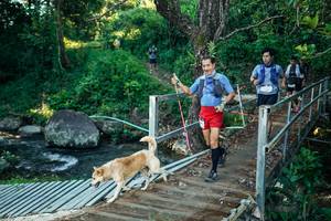 BIB: 
                            <button type="button" onclick="openModal(26625571)" class="btn btn-primary btn-sm float-right btn-popup" data-toggle="modal" data-target=".modal-high-quality">
                        <i class="fas fa-shopping-cart"></i> Add to Cart
                    </button>
                                            <button type="button" onclick="isThisMe(26625571, true)" class="btn btn-success btn-sm float-right btn-popup btn-isme hidden" data-toggle="tooltip" data-placement="bottom" title="นี่คือรูปของคุณใช่ไหม คลิกที่นี่เพื่อเอาเข้าอัลบั้ม">
                        <i class="fas fa-plus"></i> Add to album
                    </button>
                    <button type="button" onclick="isThisMe(26625571, false)" class="btn btn-warning btn-sm float-right btn-popup btn-isnotme hidden">
                        <i class="fas fa-ban"></i> Remove from album
                    </button>