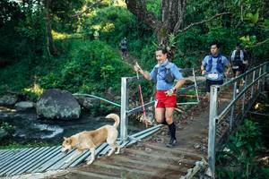 BIB: 
                            <button type="button" onclick="openModal(26625572)" class="btn btn-primary btn-sm float-right btn-popup" data-toggle="modal" data-target=".modal-high-quality">
                        <i class="fas fa-shopping-cart"></i> Add to Cart
                    </button>
                                            <button type="button" onclick="isThisMe(26625572, true)" class="btn btn-success btn-sm float-right btn-popup btn-isme hidden" data-toggle="tooltip" data-placement="bottom" title="นี่คือรูปของคุณใช่ไหม คลิกที่นี่เพื่อเอาเข้าอัลบั้ม">
                        <i class="fas fa-plus"></i> Add to album
                    </button>
                    <button type="button" onclick="isThisMe(26625572, false)" class="btn btn-warning btn-sm float-right btn-popup btn-isnotme hidden">
                        <i class="fas fa-ban"></i> Remove from album
                    </button>