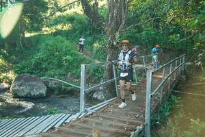 BIB: 
                            <button type="button" onclick="openModal(26678039)" class="btn btn-primary btn-sm float-right btn-popup" data-toggle="modal" data-target=".modal-high-quality">
                        <i class="fas fa-shopping-cart"></i> Add to Cart
                    </button>
                                            <button type="button" onclick="isThisMe(26678039, true)" class="btn btn-success btn-sm float-right btn-popup btn-isme hidden" data-toggle="tooltip" data-placement="bottom" title="นี่คือรูปของคุณใช่ไหม คลิกที่นี่เพื่อเอาเข้าอัลบั้ม">
                        <i class="fas fa-plus"></i> Add to album
                    </button>
                    <button type="button" onclick="isThisMe(26678039, false)" class="btn btn-warning btn-sm float-right btn-popup btn-isnotme hidden">
                        <i class="fas fa-ban"></i> Remove from album
                    </button>