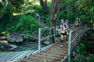 BIB: 
                            <button type="button" onclick="openModal(26644350)" class="btn btn-primary btn-sm float-right btn-popup" data-toggle="modal" data-target=".modal-high-quality">
                        <i class="fas fa-shopping-cart"></i> Add to Cart
                    </button>
                                            <button type="button" onclick="isThisMe(26644350, true)" class="btn btn-success btn-sm float-right btn-popup btn-isme hidden" data-toggle="tooltip" data-placement="bottom" title="นี่คือรูปของคุณใช่ไหม คลิกที่นี่เพื่อเอาเข้าอัลบั้ม">
                        <i class="fas fa-plus"></i> Add to album
                    </button>
                    <button type="button" onclick="isThisMe(26644350, false)" class="btn btn-warning btn-sm float-right btn-popup btn-isnotme hidden">
                        <i class="fas fa-ban"></i> Remove from album
                    </button>