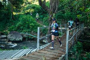 BIB: 
                            <button type="button" onclick="openModal(26639030)" class="btn btn-primary btn-sm float-right btn-popup" data-toggle="modal" data-target=".modal-high-quality">
                        <i class="fas fa-shopping-cart"></i> Add to Cart
                    </button>
                                            <button type="button" onclick="isThisMe(26639030, true)" class="btn btn-success btn-sm float-right btn-popup btn-isme hidden" data-toggle="tooltip" data-placement="bottom" title="นี่คือรูปของคุณใช่ไหม คลิกที่นี่เพื่อเอาเข้าอัลบั้ม">
                        <i class="fas fa-plus"></i> Add to album
                    </button>
                    <button type="button" onclick="isThisMe(26639030, false)" class="btn btn-warning btn-sm float-right btn-popup btn-isnotme hidden">
                        <i class="fas fa-ban"></i> Remove from album
                    </button>