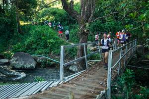 BIB: 
                            <button type="button" onclick="openModal(26639798)" class="btn btn-primary btn-sm float-right btn-popup" data-toggle="modal" data-target=".modal-high-quality">
                        <i class="fas fa-shopping-cart"></i> Add to Cart
                    </button>
                                            <button type="button" onclick="isThisMe(26639798, true)" class="btn btn-success btn-sm float-right btn-popup btn-isme hidden" data-toggle="tooltip" data-placement="bottom" title="นี่คือรูปของคุณใช่ไหม คลิกที่นี่เพื่อเอาเข้าอัลบั้ม">
                        <i class="fas fa-plus"></i> Add to album
                    </button>
                    <button type="button" onclick="isThisMe(26639798, false)" class="btn btn-warning btn-sm float-right btn-popup btn-isnotme hidden">
                        <i class="fas fa-ban"></i> Remove from album
                    </button>