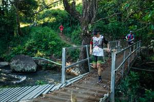 BIB: 
                            <button type="button" onclick="openModal(26659540)" class="btn btn-primary btn-sm float-right btn-popup" data-toggle="modal" data-target=".modal-high-quality">
                        <i class="fas fa-shopping-cart"></i> Add to Cart
                    </button>
                                            <button type="button" onclick="isThisMe(26659540, true)" class="btn btn-success btn-sm float-right btn-popup btn-isme hidden" data-toggle="tooltip" data-placement="bottom" title="นี่คือรูปของคุณใช่ไหม คลิกที่นี่เพื่อเอาเข้าอัลบั้ม">
                        <i class="fas fa-plus"></i> Add to album
                    </button>
                    <button type="button" onclick="isThisMe(26659540, false)" class="btn btn-warning btn-sm float-right btn-popup btn-isnotme hidden">
                        <i class="fas fa-ban"></i> Remove from album
                    </button>