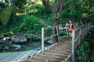 BIB: 
                            <button type="button" onclick="openModal(26636690)" class="btn btn-primary btn-sm float-right btn-popup" data-toggle="modal" data-target=".modal-high-quality">
                        <i class="fas fa-shopping-cart"></i> Add to Cart
                    </button>
                                            <button type="button" onclick="isThisMe(26636690, true)" class="btn btn-success btn-sm float-right btn-popup btn-isme hidden" data-toggle="tooltip" data-placement="bottom" title="นี่คือรูปของคุณใช่ไหม คลิกที่นี่เพื่อเอาเข้าอัลบั้ม">
                        <i class="fas fa-plus"></i> Add to album
                    </button>
                    <button type="button" onclick="isThisMe(26636690, false)" class="btn btn-warning btn-sm float-right btn-popup btn-isnotme hidden">
                        <i class="fas fa-ban"></i> Remove from album
                    </button>