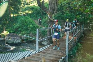 BIB: 
                            <button type="button" onclick="openModal(26675139)" class="btn btn-primary btn-sm float-right btn-popup" data-toggle="modal" data-target=".modal-high-quality">
                        <i class="fas fa-shopping-cart"></i> Add to Cart
                    </button>
                                            <button type="button" onclick="isThisMe(26675139, true)" class="btn btn-success btn-sm float-right btn-popup btn-isme hidden" data-toggle="tooltip" data-placement="bottom" title="นี่คือรูปของคุณใช่ไหม คลิกที่นี่เพื่อเอาเข้าอัลบั้ม">
                        <i class="fas fa-plus"></i> Add to album
                    </button>
                    <button type="button" onclick="isThisMe(26675139, false)" class="btn btn-warning btn-sm float-right btn-popup btn-isnotme hidden">
                        <i class="fas fa-ban"></i> Remove from album
                    </button>