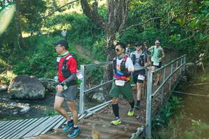 BIB: 
                            <button type="button" onclick="openModal(26677086)" class="btn btn-primary btn-sm float-right btn-popup" data-toggle="modal" data-target=".modal-high-quality">
                        <i class="fas fa-shopping-cart"></i> Add to Cart
                    </button>
                                            <button type="button" onclick="isThisMe(26677086, true)" class="btn btn-success btn-sm float-right btn-popup btn-isme hidden" data-toggle="tooltip" data-placement="bottom" title="นี่คือรูปของคุณใช่ไหม คลิกที่นี่เพื่อเอาเข้าอัลบั้ม">
                        <i class="fas fa-plus"></i> Add to album
                    </button>
                    <button type="button" onclick="isThisMe(26677086, false)" class="btn btn-warning btn-sm float-right btn-popup btn-isnotme hidden">
                        <i class="fas fa-ban"></i> Remove from album
                    </button>