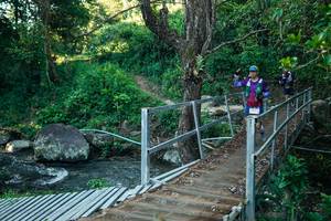 BIB: 
                            <button type="button" onclick="openModal(26637316)" class="btn btn-primary btn-sm float-right btn-popup" data-toggle="modal" data-target=".modal-high-quality">
                        <i class="fas fa-shopping-cart"></i> Add to Cart
                    </button>
                                            <button type="button" onclick="isThisMe(26637316, true)" class="btn btn-success btn-sm float-right btn-popup btn-isme hidden" data-toggle="tooltip" data-placement="bottom" title="นี่คือรูปของคุณใช่ไหม คลิกที่นี่เพื่อเอาเข้าอัลบั้ม">
                        <i class="fas fa-plus"></i> Add to album
                    </button>
                    <button type="button" onclick="isThisMe(26637316, false)" class="btn btn-warning btn-sm float-right btn-popup btn-isnotme hidden">
                        <i class="fas fa-ban"></i> Remove from album
                    </button>