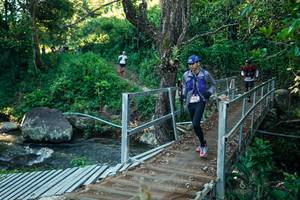 BIB: 
                            <button type="button" onclick="openModal(26650639)" class="btn btn-primary btn-sm float-right btn-popup" data-toggle="modal" data-target=".modal-high-quality">
                        <i class="fas fa-shopping-cart"></i> Add to Cart
                    </button>
                                            <button type="button" onclick="isThisMe(26650639, true)" class="btn btn-success btn-sm float-right btn-popup btn-isme hidden" data-toggle="tooltip" data-placement="bottom" title="นี่คือรูปของคุณใช่ไหม คลิกที่นี่เพื่อเอาเข้าอัลบั้ม">
                        <i class="fas fa-plus"></i> Add to album
                    </button>
                    <button type="button" onclick="isThisMe(26650639, false)" class="btn btn-warning btn-sm float-right btn-popup btn-isnotme hidden">
                        <i class="fas fa-ban"></i> Remove from album
                    </button>