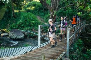 BIB: 
                            <button type="button" onclick="openModal(26631386)" class="btn btn-primary btn-sm float-right btn-popup" data-toggle="modal" data-target=".modal-high-quality">
                        <i class="fas fa-shopping-cart"></i> Add to Cart
                    </button>
                                            <button type="button" onclick="isThisMe(26631386, true)" class="btn btn-success btn-sm float-right btn-popup btn-isme hidden" data-toggle="tooltip" data-placement="bottom" title="นี่คือรูปของคุณใช่ไหม คลิกที่นี่เพื่อเอาเข้าอัลบั้ม">
                        <i class="fas fa-plus"></i> Add to album
                    </button>
                    <button type="button" onclick="isThisMe(26631386, false)" class="btn btn-warning btn-sm float-right btn-popup btn-isnotme hidden">
                        <i class="fas fa-ban"></i> Remove from album
                    </button>