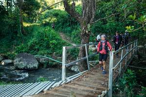 BIB: 
                            <button type="button" onclick="openModal(26637784)" class="btn btn-primary btn-sm float-right btn-popup" data-toggle="modal" data-target=".modal-high-quality">
                        <i class="fas fa-shopping-cart"></i> Add to Cart
                    </button>
                                            <button type="button" onclick="isThisMe(26637784, true)" class="btn btn-success btn-sm float-right btn-popup btn-isme hidden" data-toggle="tooltip" data-placement="bottom" title="นี่คือรูปของคุณใช่ไหม คลิกที่นี่เพื่อเอาเข้าอัลบั้ม">
                        <i class="fas fa-plus"></i> Add to album
                    </button>
                    <button type="button" onclick="isThisMe(26637784, false)" class="btn btn-warning btn-sm float-right btn-popup btn-isnotme hidden">
                        <i class="fas fa-ban"></i> Remove from album
                    </button>